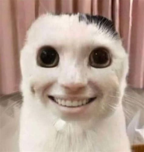 Image result for Goofy PFP