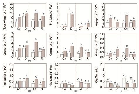 Leaf Soluble Sugars and Free Amino Acids as Important Components of ...