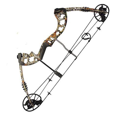 Rezultat imagine pentru How Compound Bows Work