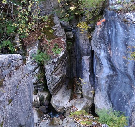 NATURAL BRIDGE STATE PARK (2025) All You Need to Know BEFORE You Go ...