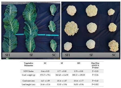 Assessment of the Nitrification Inhibitor Nitrapyrin on Nitrogen Losses ...