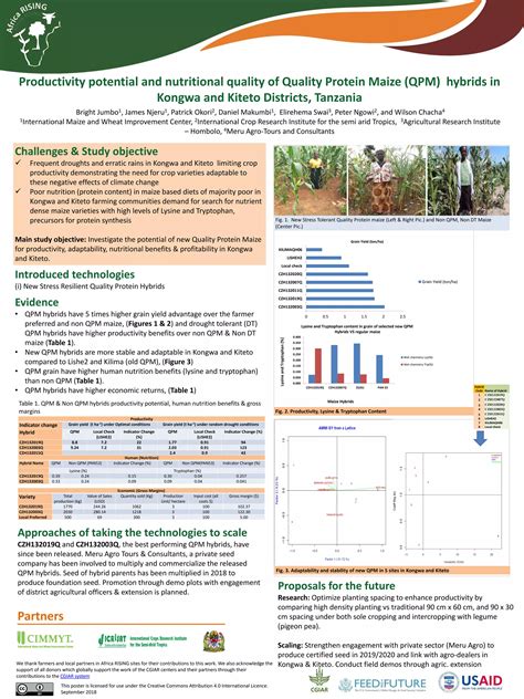Productivity potential and nutritional quality of Quality Protein Maize (QPM) hybrids in Kongwa ...