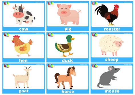Farm Animals Flashcards with Words Includes: pig, cow, chicken, horse ...