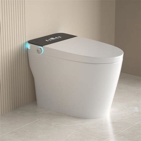 Elongated Smart Toilet with Built in Bidet, Heated Seat,Smart Toilets ...