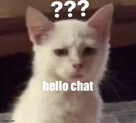 Image result for Hello Chat Meme