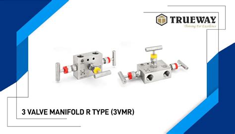 3 Valve Manifold R Type (3VMR) - Trueway Engineering Industries ...