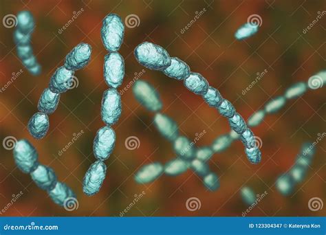 Haemophilus Ducreyi Bacteria Stock Illustration - Illustration of ...