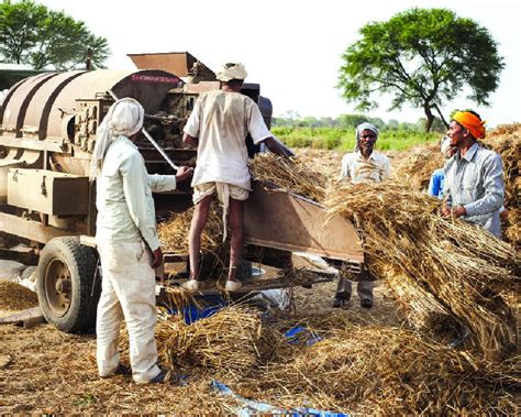 US tariffs a wake-up call for India to bolster farm competitiveness