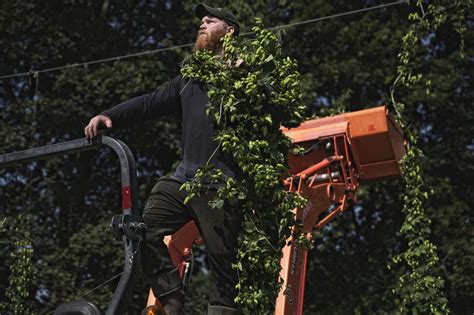 Plan Bee Farm Brewery