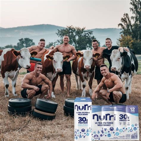 Nurri Protein Shakes Vanilla 12 Pack - Best Price Nutrition