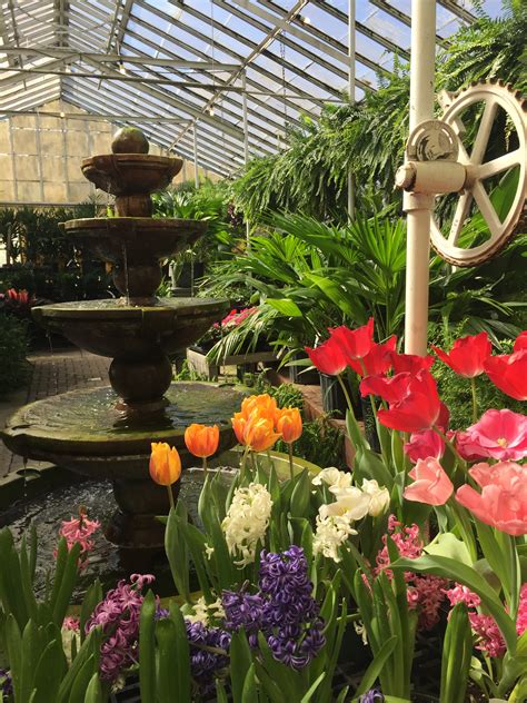 Photo Gallery: Delaware Garden Center - Oakland Nursery