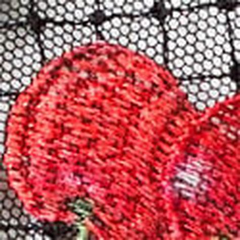 Brazilian Panties: Buy Brazilian Underwear for Women Online | Victoria ...