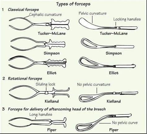 Image result for Online Store Project HTML/CSS Tutorial