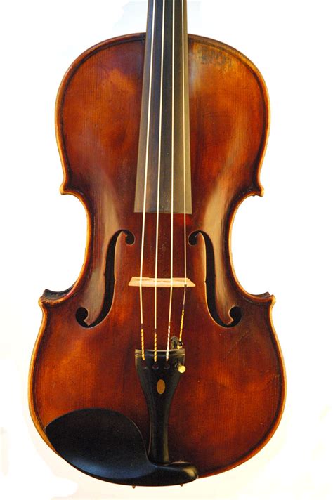 Image result for Viola String Instrument