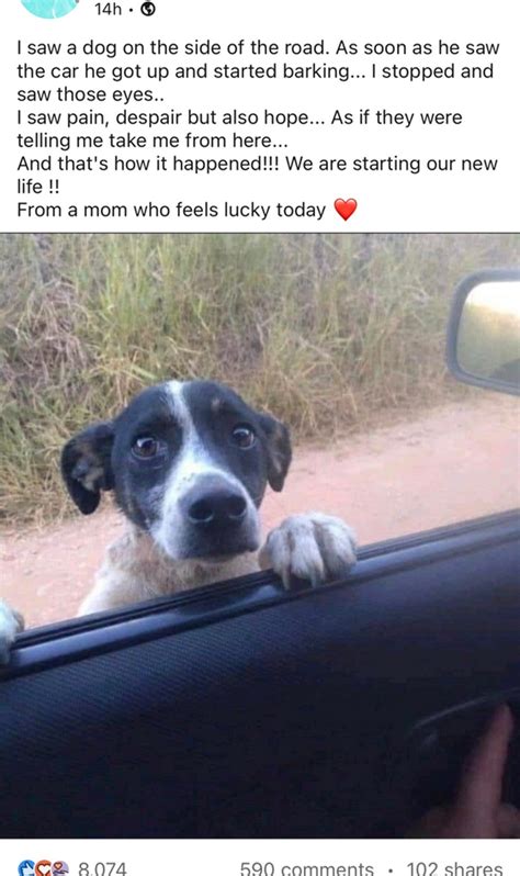 How Infosys project allocation happening? After getting laptop I got ...