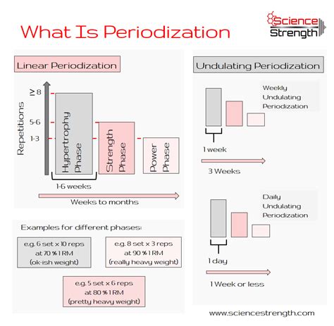 Image result for Periodization Training. Examples