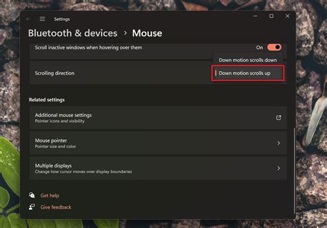 Image result for Mouse Scroll Settings Windows 11
