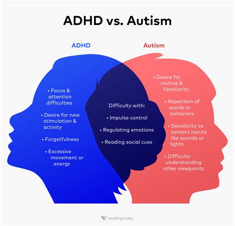 ADHD vs. Autism: What's the Difference?