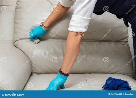 Lady cleaning leather sofa stock photo. Image of cleanup - 162546542