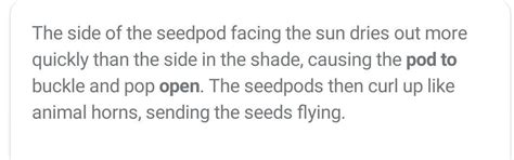 how do pods in some plants split open and disperse seeds? explain with ...