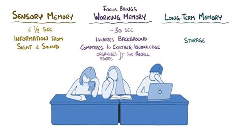 Multimedia Learning 的图像结果