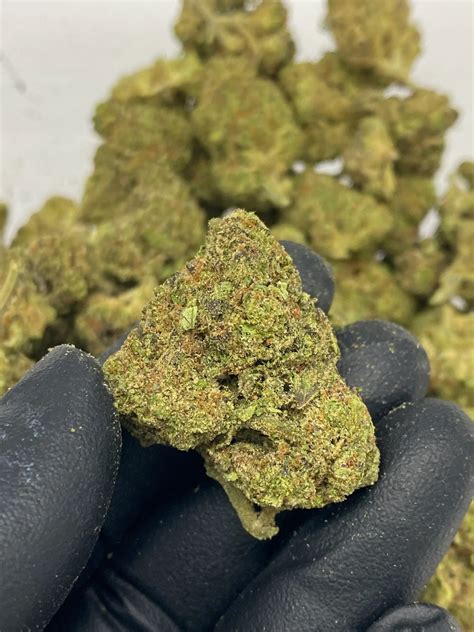 Juicy Fruit - Exclusive Hemp Farms