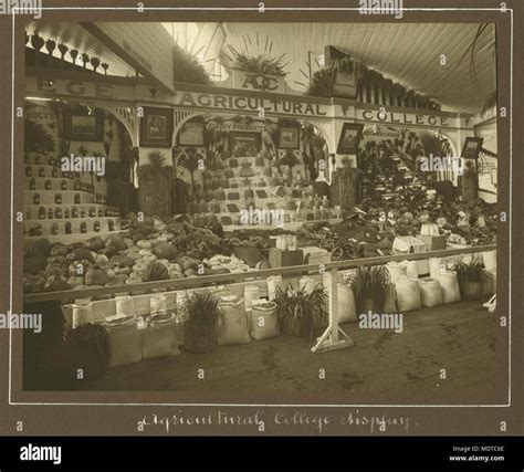 Queensland Agricultural College display at the Exhibition, Brisbane, 1912. Location: Brisbane ...