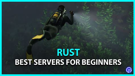 Image result for How to Find Rust Servers