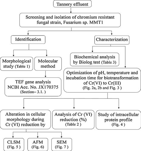 Image result for Work Study Programm Diagram