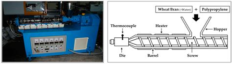 Bio-Based Foamed Cushioning Materials Using Polypropylene and Wheat Bran