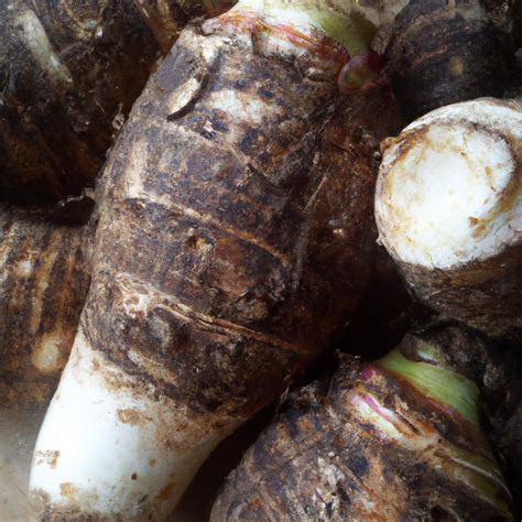 What Does Taro Taste Like - Plowdenarmsshiplake