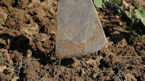 Image result for Hoe Problem