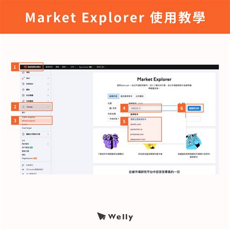 SEMrush Search Tool 的图像结果