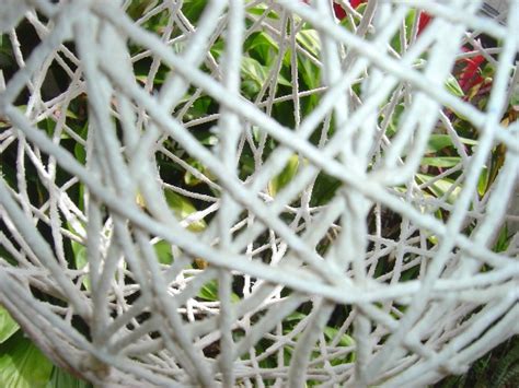 Image result for DIY String Lamp Shade