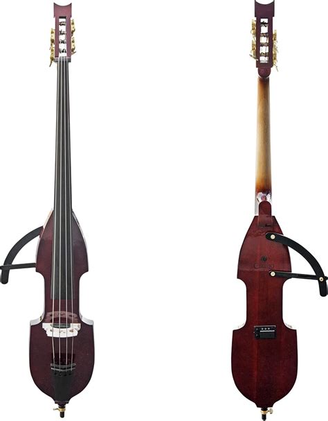 Amazon.com: Cecilio Silent Electric Upright Double Bass, Mahogany ...