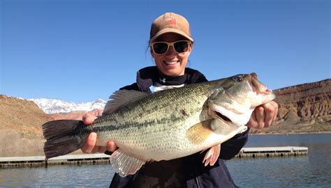 Fish Utah -- Division of Wildlife Resources