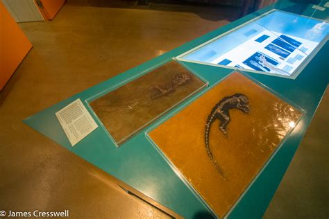 Image result for Germany GeoJSON Museum