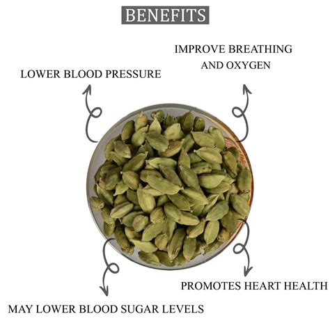 Dekay Green Cardamom: Aromatic Elegance for Culinary Mastery