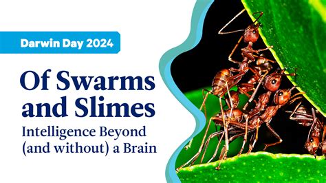 Darwin Day at Duquesne University