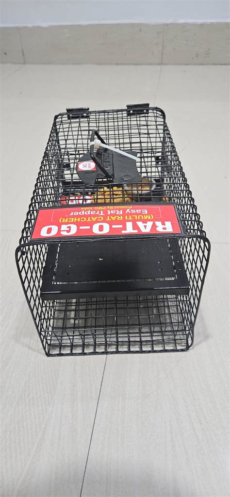 PMG PERFECT MAKERS GROUP Rat Trap Cage with Rat Food | Rat Catcher ...