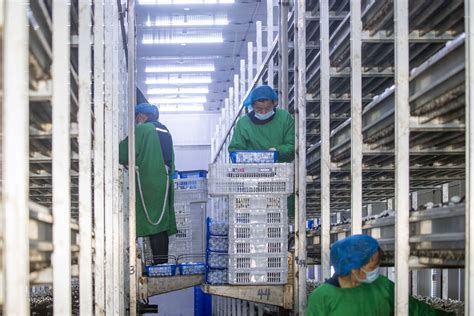 江苏扬州生产工厂管理咨询机构哪家好 - 哔哩哔哩