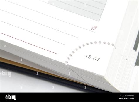 Image result for Diary Page Example