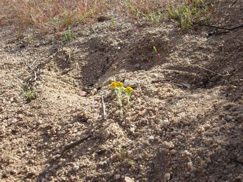 Canon PowerShot SD1300 IS (IXUS 105 / IXY 200F) sample photo ...