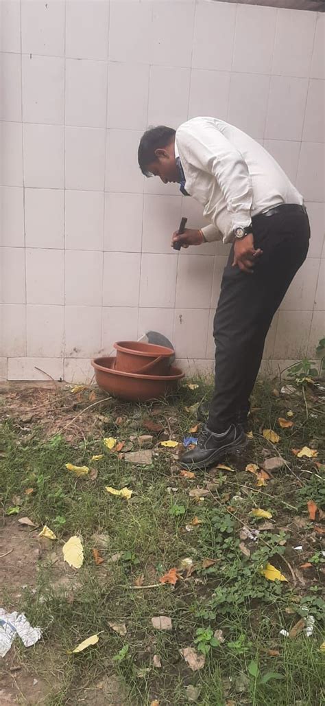 Mosquito breeding grounds were found at schools and construction sites ...