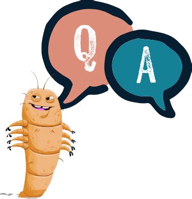 Savings and Access | XDEMVY® (lotilaner ophthalmic solution) 0.25%