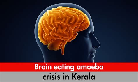 How climate change has fuelled deadly brain-eating amoeba crisis in Kerala