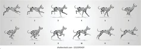 Image result for Run Cycle Animation Frames