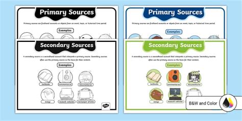 Primary and Secondary Sources Posters (teacher made)