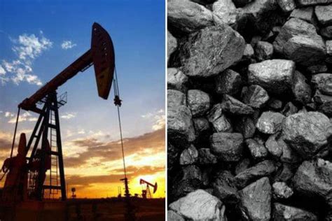 Cómo se formó el carbón y el petróleo