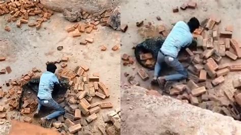 Video: Man Wrestles With Black Leopard At Brick Kiln As Villagers Throw ...